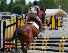 12 Equitation: Horse Errors