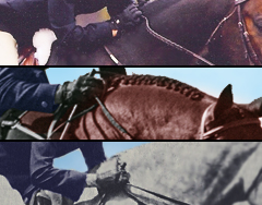 28 Equitation – Hands/Release