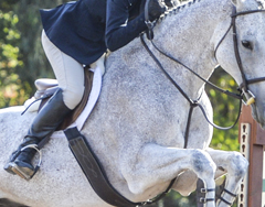 11 Classic Equitation – Priorities